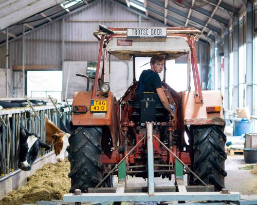 ML Agro Portretten Liggend 7